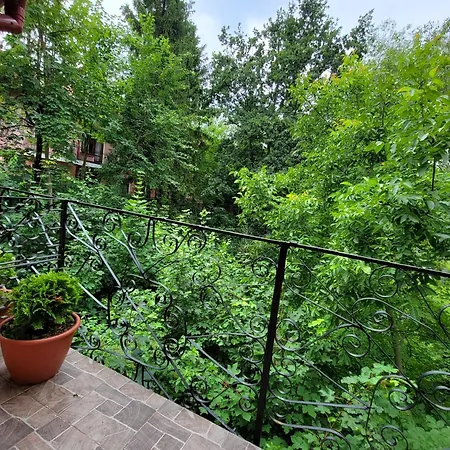 Glory تريسكافيتس