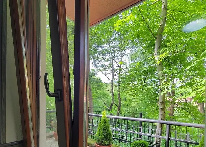 Glory * Трускавец